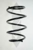 SPIDAN 85230 Coil Spring